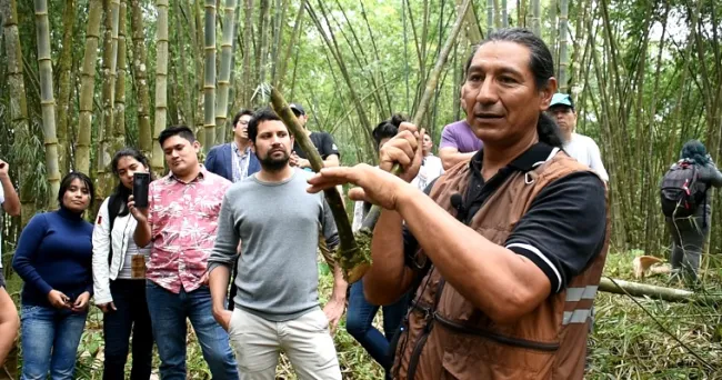 AGROSAVIA – INBAR Una alianza estratégica para el aprovechamiento sostenible y ambiental del bambú en Colombia