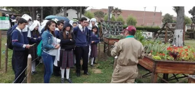 AGROSAVIA apuesta por la agricultura urbana y periurbana