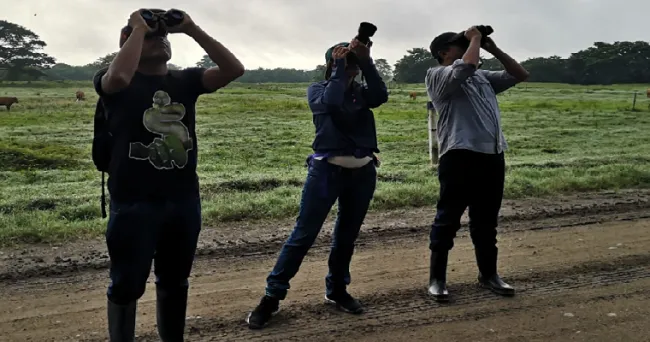 Las aves del Centro de Investigación Turipaná vuelven a ser el foco de los lentes de cámaras y binoculares