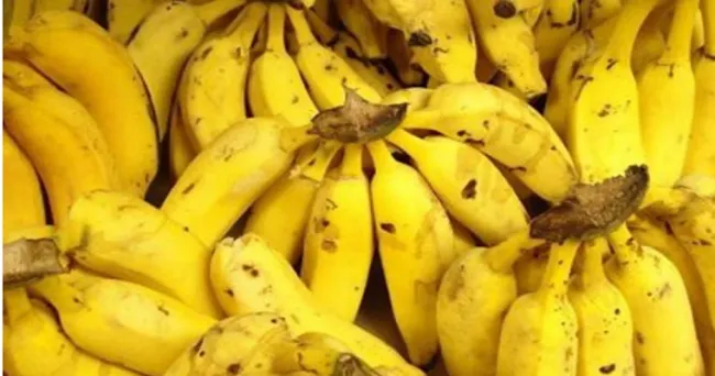 Producción de banano creció 2% con un total de 2,6 millones de toneladas en 2023