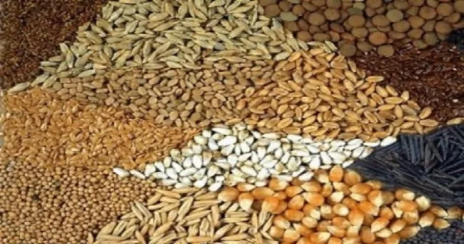 Recomendaciones para tener un banco de semillas en la finca