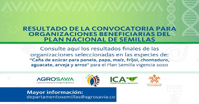Resultados de la convocatoria al Plan Semilla para organizaciones de pequeños y medianos Productores