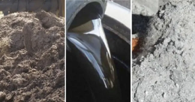 ¿Quiere preparar un fertilizante orgánico con estiércol bovino? Le enseñamos a prepararlo