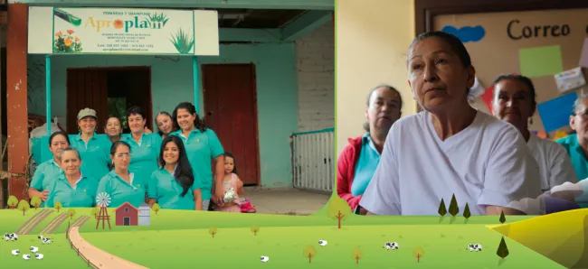 Analizan avances del proyecto de generación empresarial para campesinos de los municipios del posconflicto del Minagricultura - 20 de septiembre de 2017