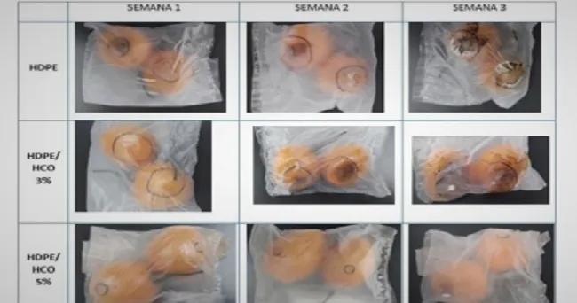 Desarrollan bolsas plásticas antifúngicas para conservar frutas en mejores condiciones