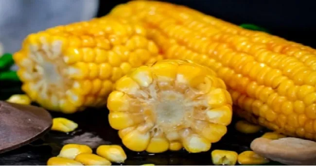 Industria del etanol puede ser aliada en la alimentación de bovinos