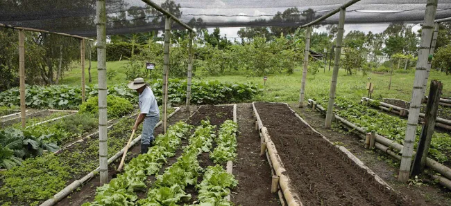 El sector agro creó 200.000 nuevos puestos de trabajo entre agosto y octubre - 30 de noviembre de 2016