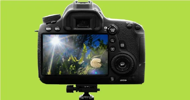 Concurso nacional de fotografía fedepalma