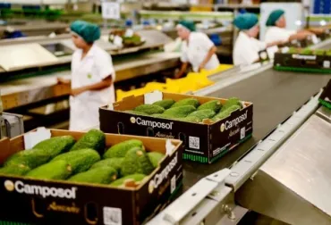 Empleo y medio ambiente, compromisos de Composol con Quindío