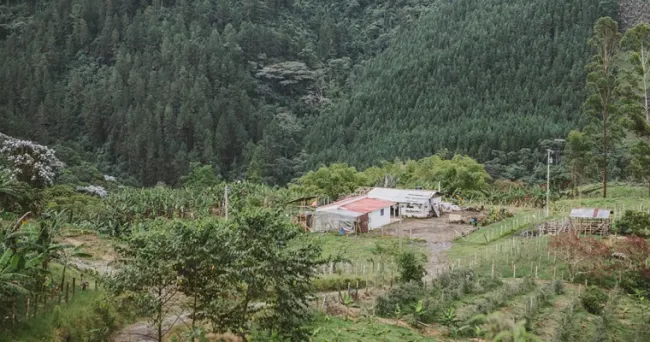 Nuevo decreto facilita acceso a tierra para víctimas de catástrofes naturales declaradas
