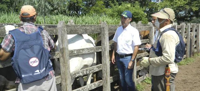 Ganaderos del país afianzan su compromiso con el primer ciclo de vacunación contra la aftosa - 21 de junio de 2016