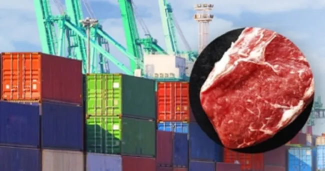 Colombia tiene gran potencial en el mercado cárnico, dice experto chileno