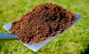 Abonos orgánicos, aliados de la agricultura sostenible