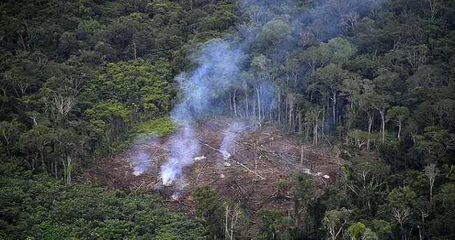 Incendios forestales afectan a toda Latinoamérica