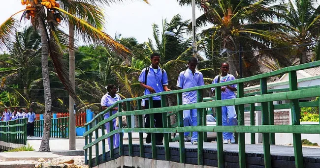 Cultura y ciencia oceánica se deben fomentar desde la educación temprana