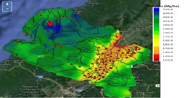 Biomasa de madera, fuente de energía alternativa