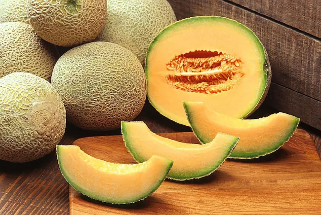 Melón sería más rentable con menos fertilización