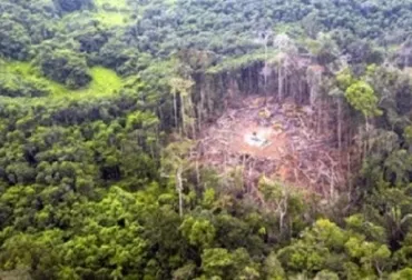 Posible deforestación en zonas de exclusión legal en la Amazonía colombiana