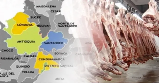 Los departamentos que lideraron el sacrificio de ganado bovino en 2019