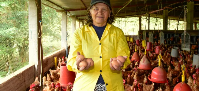 MinAgricultura se suma a la celebración del Día Mundial del Huevo