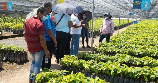 Diez firmantes del acuerdo de paz conocen la Oferta Tecnológica de AGROSAVIA para su proceso de reincorporación social, económica y territorial