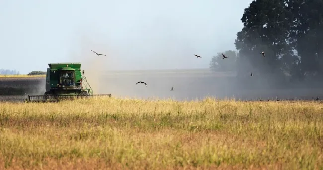 Cuál es el alcance de la revolución digital en el agro