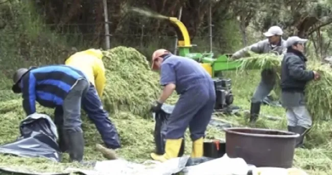 Aspectos a tener en cuenta en la elaboración del silo para que no se le pierda