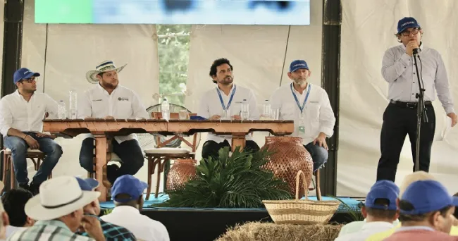 MinAgricultura y AGROSAVIA trabajan por alternativas forrajeras para alimentación de bovinos en épocas críticas