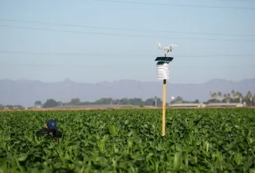 Alianza tecnológica para una agricultura de precisión