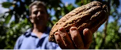 Minagricultura, Mincomercio y el ICA, se articulan para impulsar exportaciones - 10 de Noviembre de 2015