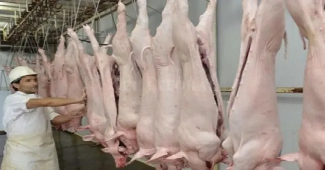 Acuerdo para exportar carne porcina a China está cada vez más cerca