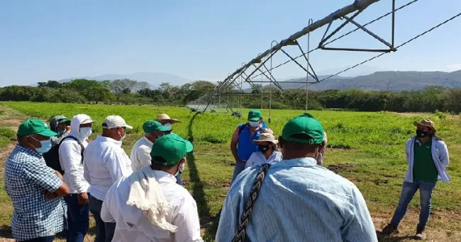 AGROSAVIA transfiere tecnología de riego con pivote a FEDEARROZ y agricultores de la región