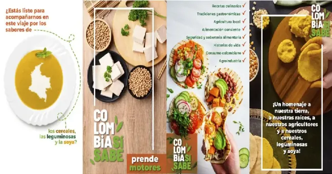Fenalce lanza campaña para promover el consumo de cereales, leguminosas y soya