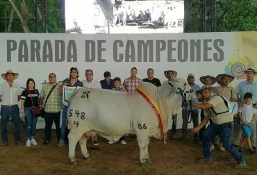 Feria de Montería tendrá mayor presencia de animales