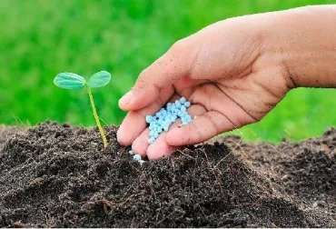 ¿Por qué es tan importante reponer los nutrientes de los suelos?