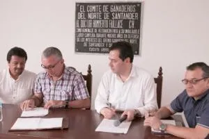 Arranca compensación para despostar ganado en Norte de Santander
