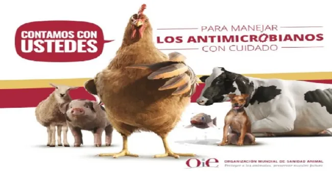 El ICA y organismos internacionales, unidos por el uso responsable de los antibióticos