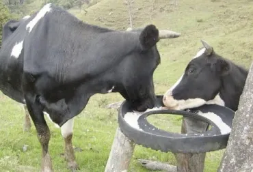 Cuidado con las mezclas de la sal