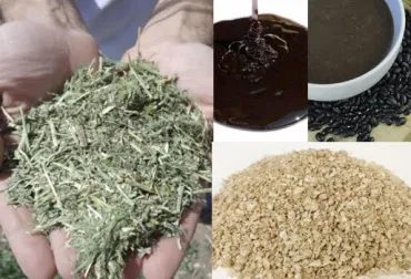 Combine pasto, melaza, harina de frijol y torta de soya