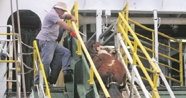 Jordania y Egipto son los países más costosos para exportar