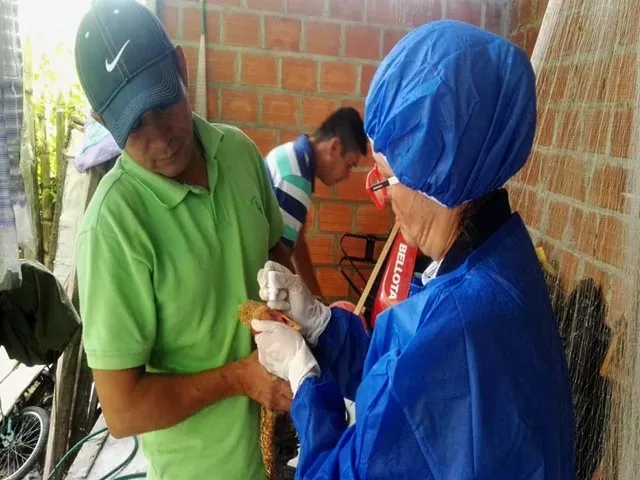 https://www.ica.gov.co/Noticias/El-ICA-y-FENAVI-activan-plan-de-contingencia-ante.aspx