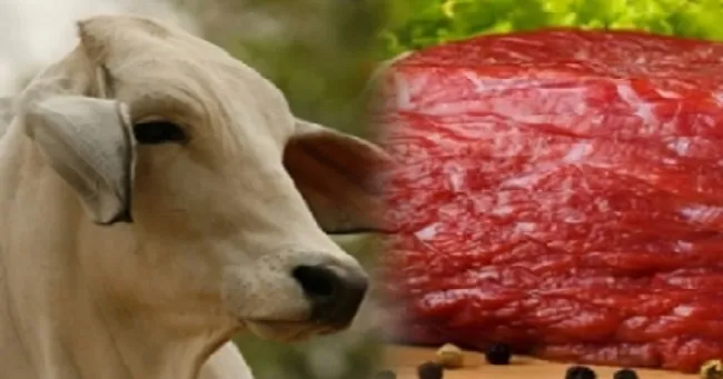China importaría 1,8 millones de toneladas adicionales de carne de res en 2019