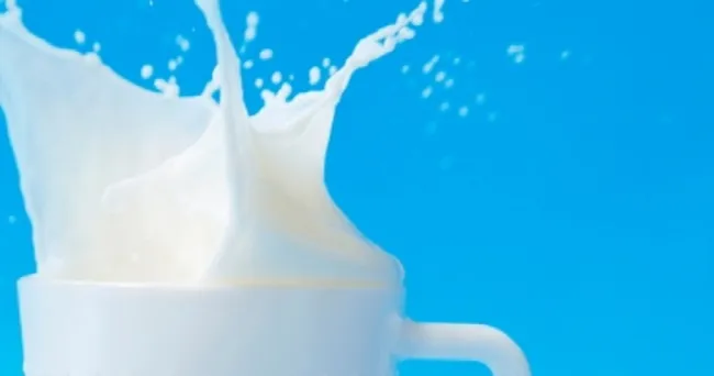 ¿Por qué los colombianos debemos celebrar el Día Mundial de la Leche?