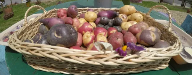 Tradición, sabores y saberes - 04 de septiembre de 2017