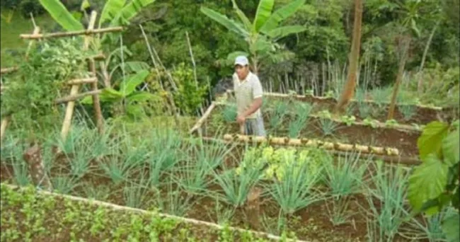 En la primera Jornada de Negocios de Agricultura por Contrato de la Región Caribe se alcanzaron expectativas de negocio por más $6.900 millones