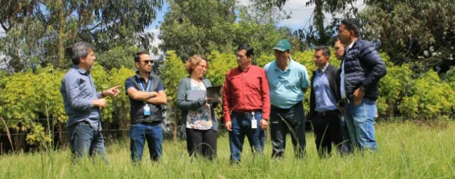 Nuevo horizonte para el desarrollo agrosilvopastoril en Colombia