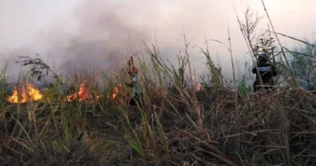 Además del Coronavirus, Magdalena sufre con los incendios forestales