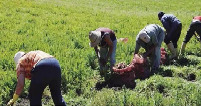 “Las mujeres y los agricultores son buena paga”, afirma la presidenta Banco Mundo Mujer