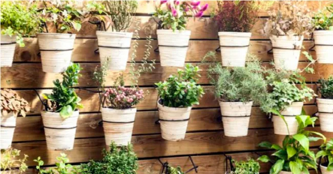 Jardines verticales, el placer de convivir con plantas en poco espacio