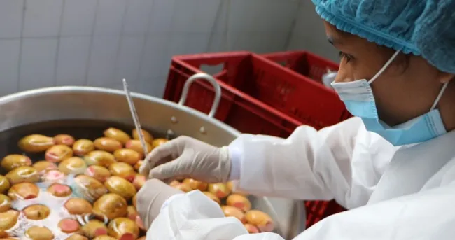AGROSAVIA incentiva a los Jóvenes Rurales como protagonista del desarrollo agropecuario colombiano